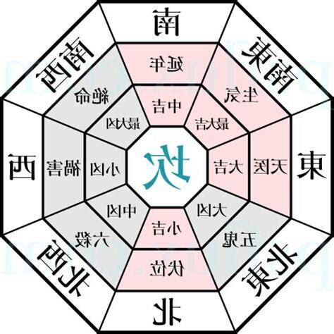 尤加利葉風水|2025年九宮飛星圖及風水方位吉兇與化解